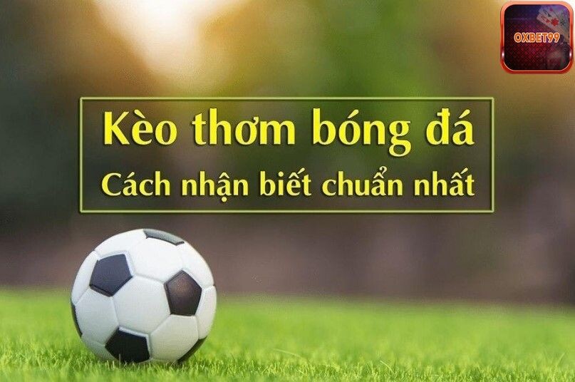 Phân tích kỹ càng từng kèo cược mà nhà cái đưa ra