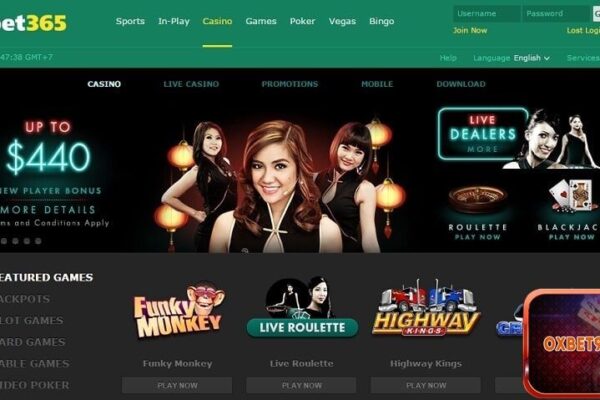 Bet365 – Nhà cái giải trí hàng đầu dành cho anh em