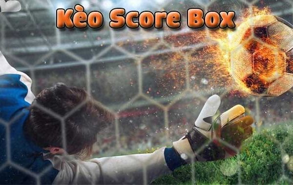 Kèo score box là gì trong bóng đá? Mẹo bắt kèo cho người mới